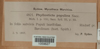 Phyllosticta populina image